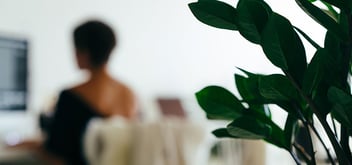 Biophilia: Why plants can make your workplace blossom