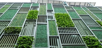 5 ways to outfit your office more sustainably