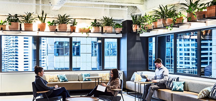 Five Ways to Bring Nature into the Office