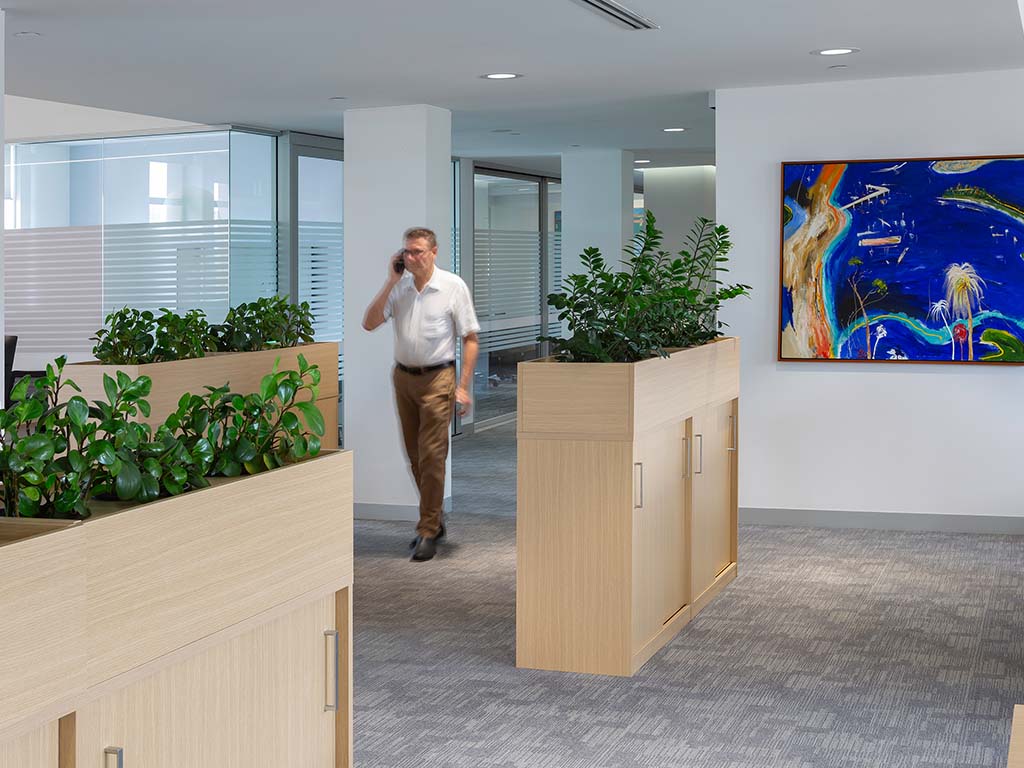 The benefits of Biophilia in your workplace.
