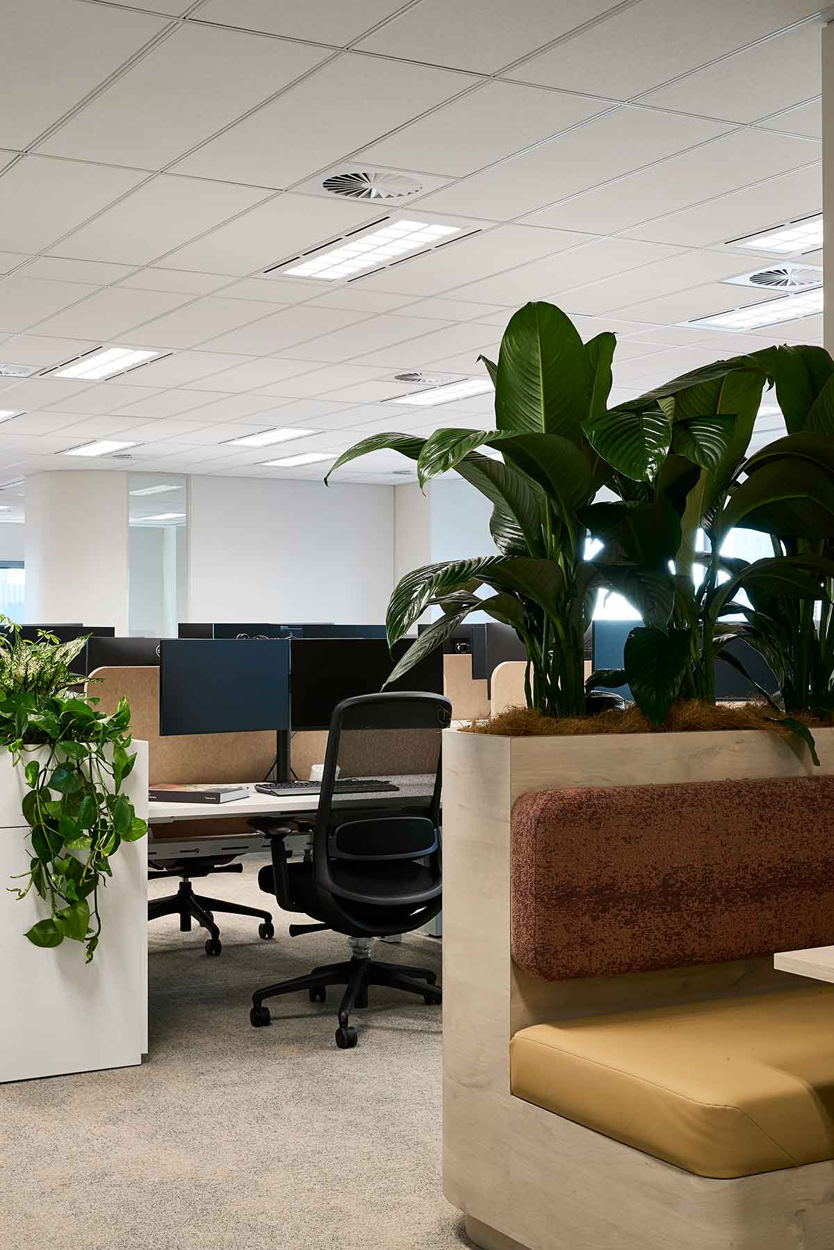 Qualitas-Behind-Workspaces